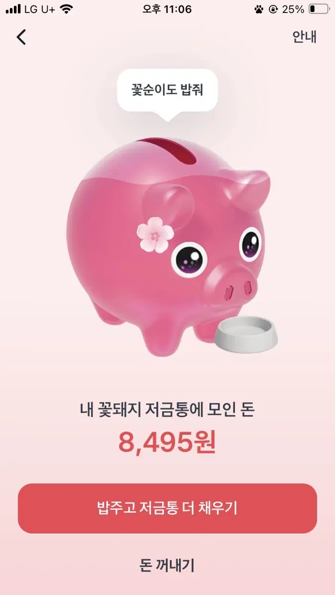 꽃돼지 한번씩만 부탁드립니다